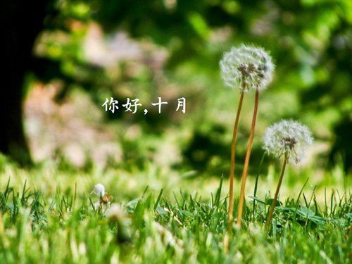 医药代表离职证明