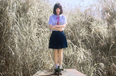 春节英语的中学生作文