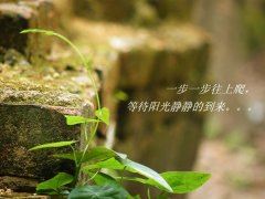 元曲双调·寿阳曲·答卢疏斋_赏析