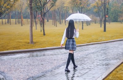 无形资产评估参考范文内容