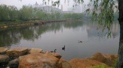 给老婆的优秀道歉信参考