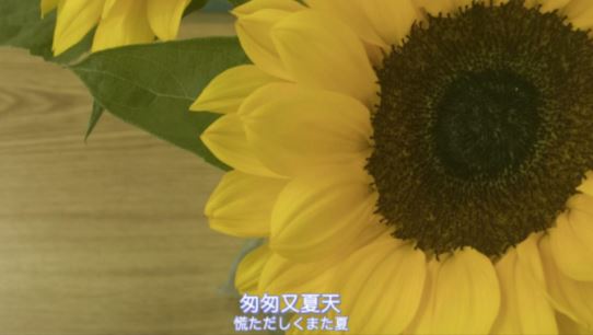 美好生活的诗句