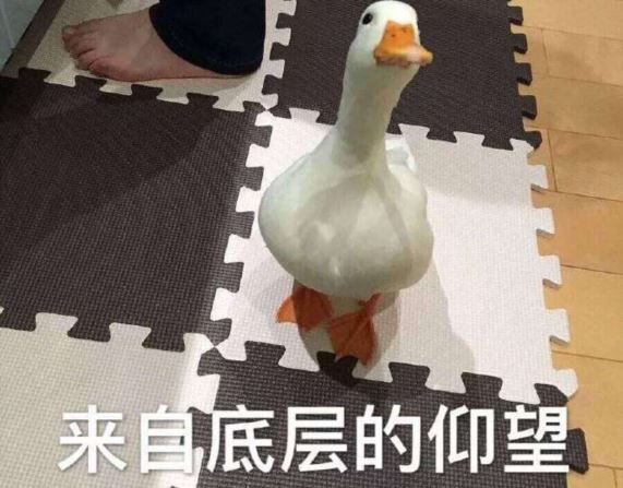 简单的值得收藏的心情说说86条