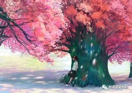 双十一盛典 The November 11th Gala