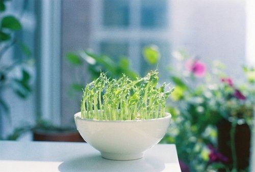 珍惜资源、保护环境的建议书