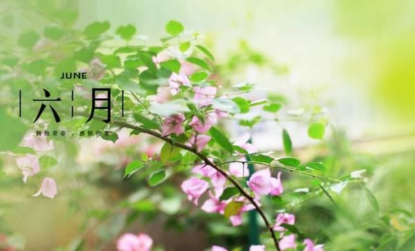 琴弦上的那缕松风随笔