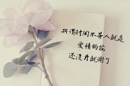 教师节慰问信