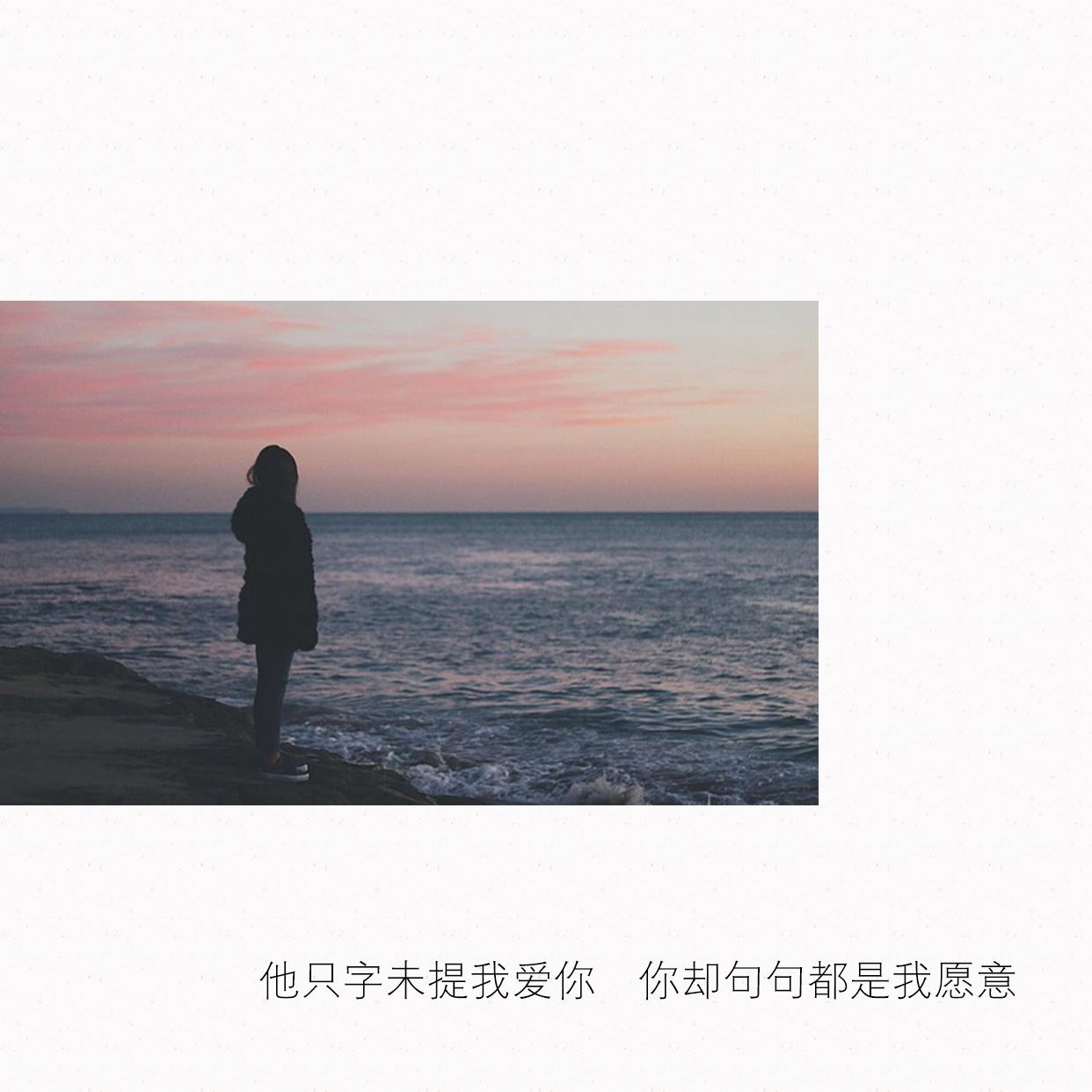 描写向日葵以上