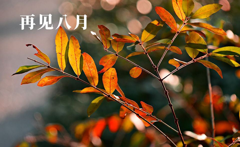 名人传_读书笔记