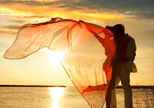 观察日记豆子(通用6篇)