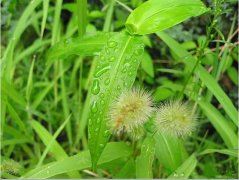 这一次_我学会了团结