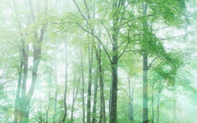 开学的作文10篇最新