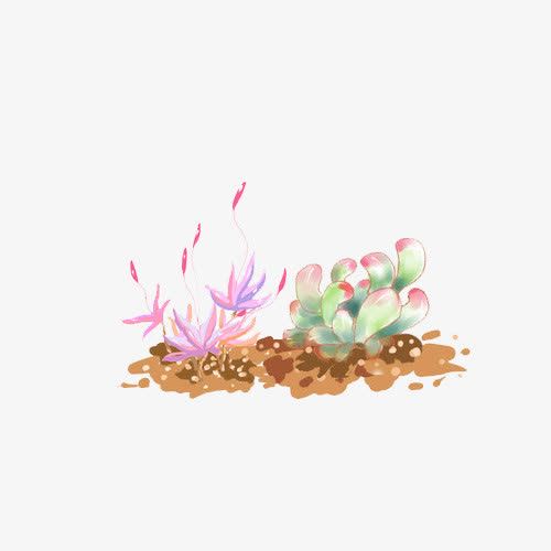 父亲节 Father's Day