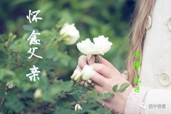 元宵节 The Lantern Festival