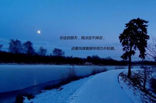 餐巾纸折纸玫瑰花教程