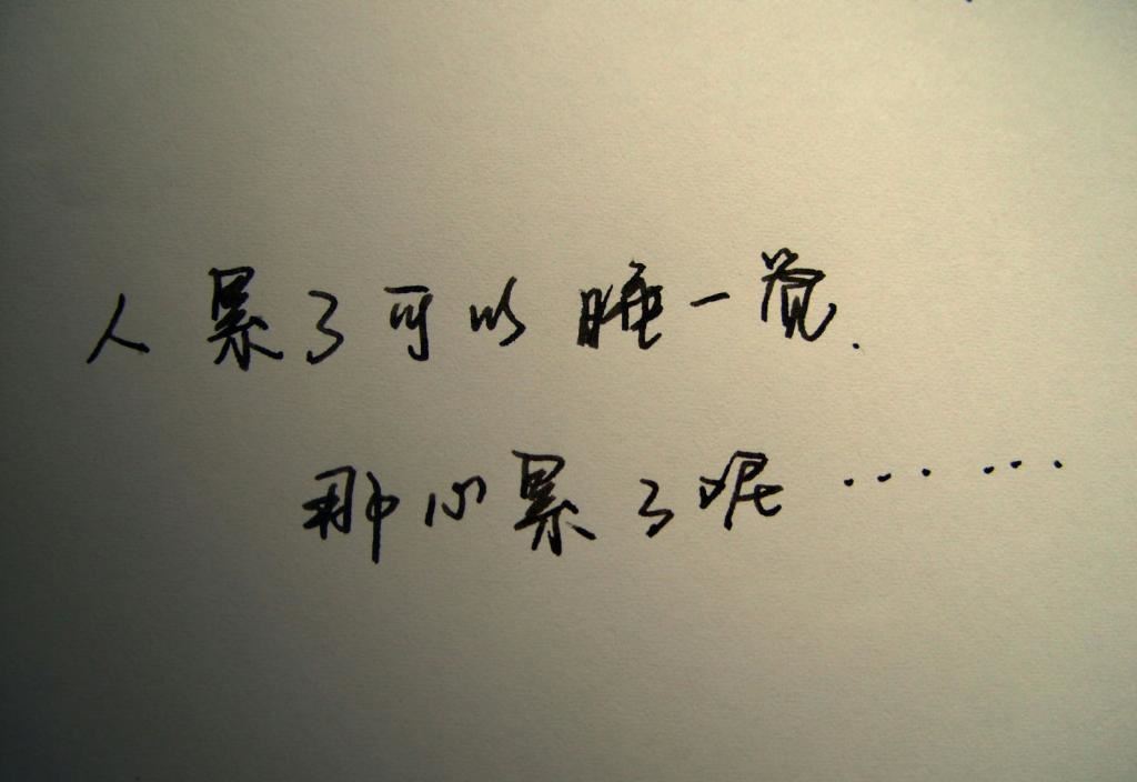 年终总结会领导发言稿
