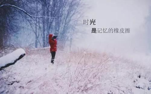 成师附小备课组教育教学工作总结