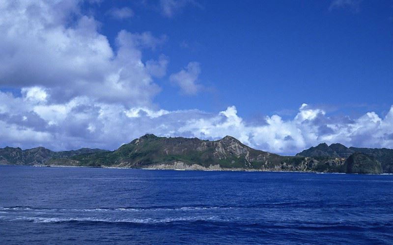 关于熊：熊的自述