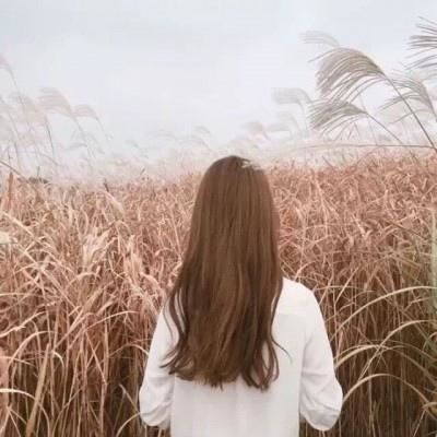 教师追悼会悼词