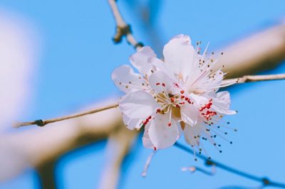 黑骏马_的英文读后感