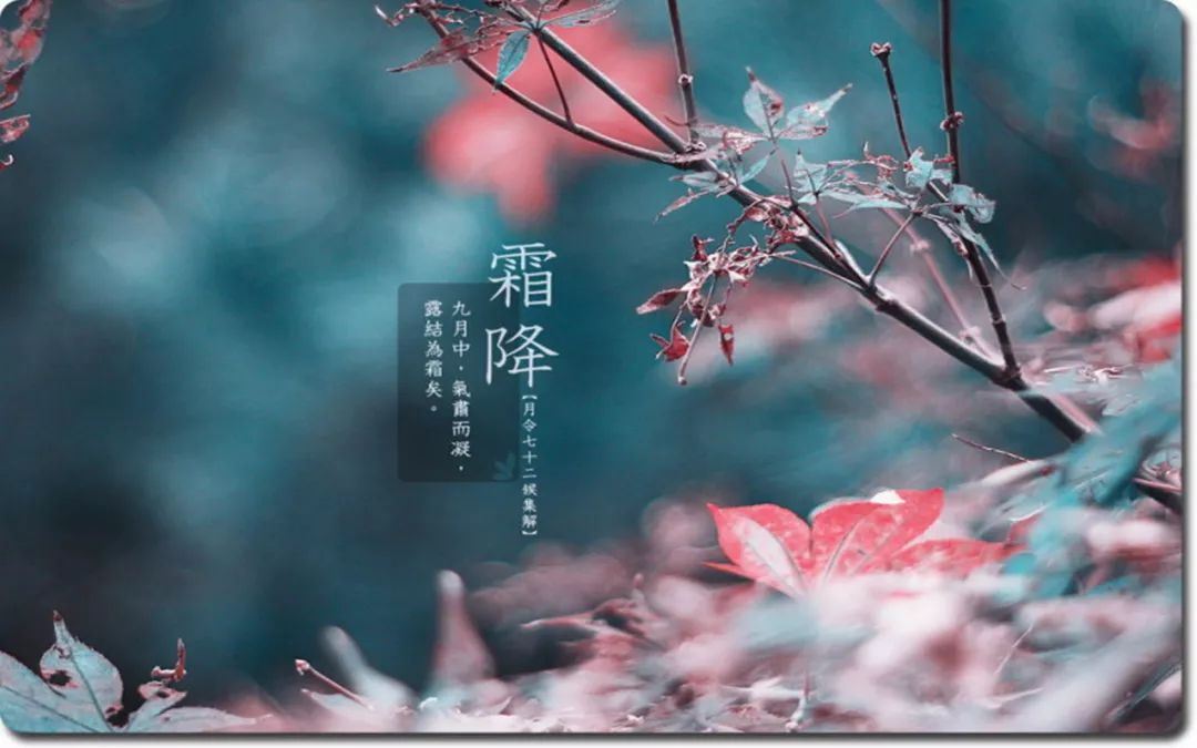 通用班主任综合评语