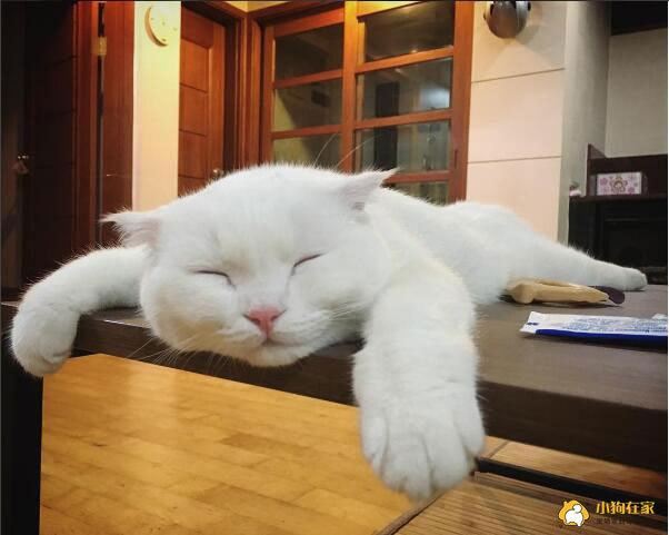 我的衣柜