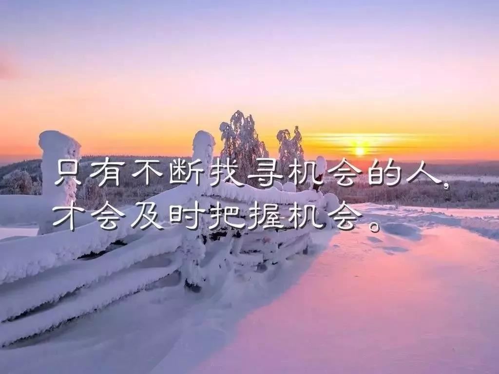 数学日记