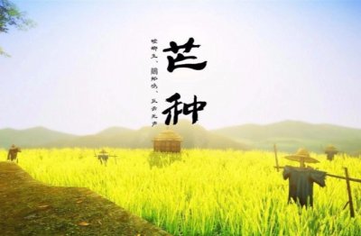 八年级幸福作文500字