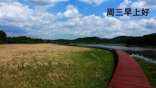 七年级我的国庆节英语作文「」