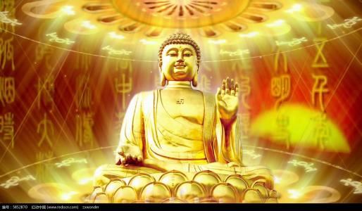 夏天来了日记