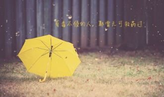 审计报告的格式