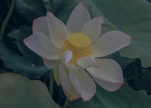 我是阅读小明星