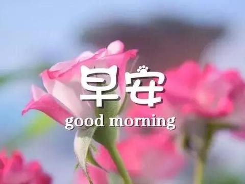 创业的艰辛 The Hardship of Starting Business