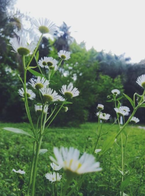 推广普通话的倡议书