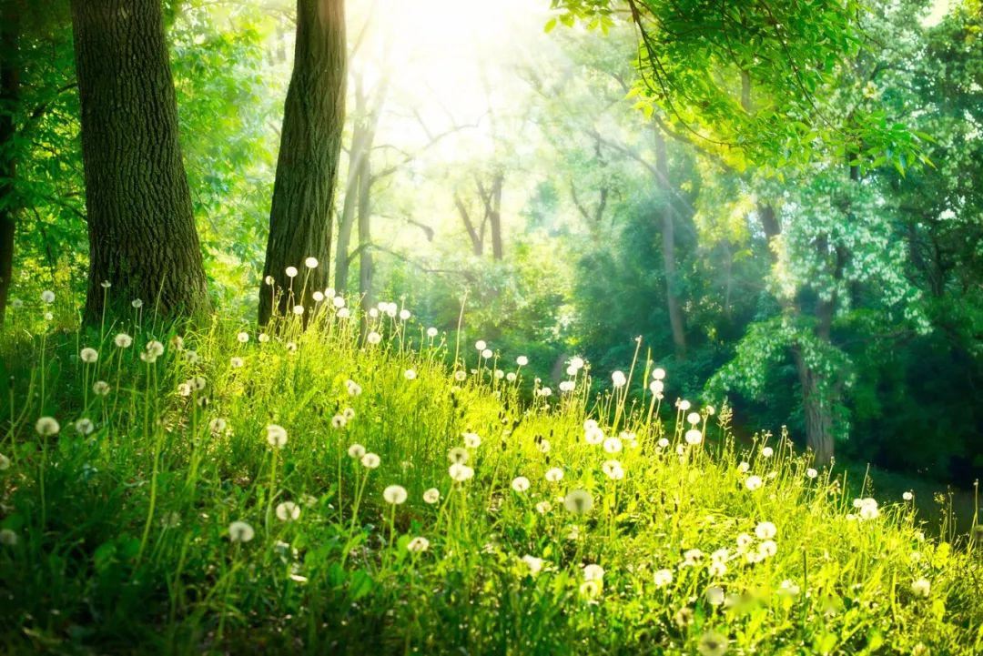 我的中秋团圆节400字作文12篇