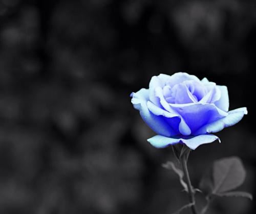 如何有意义的生活 How to live a meaningful life