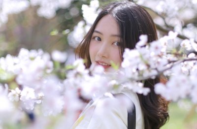 二级建造师离职证明