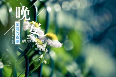 窗外的雨