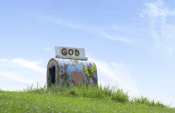 观察日记二则300字范文(通用3篇)