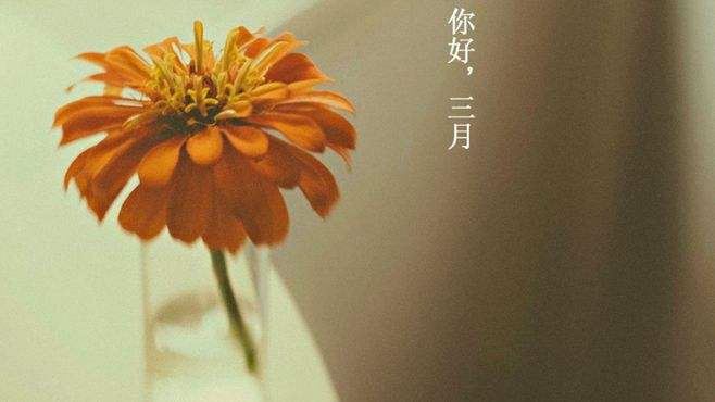 社会实践 Social Practice
