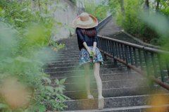 关于小动物