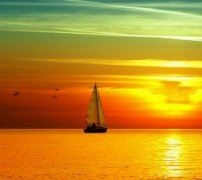 青年人入党申请书经典范文（精选16篇）