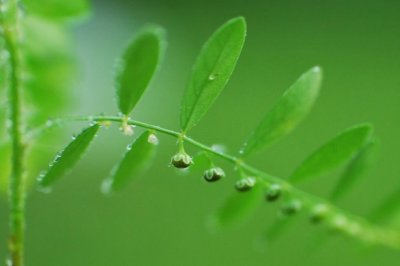 初三数学教师工作总结