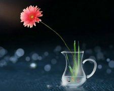 最新教师年度个人述职报告