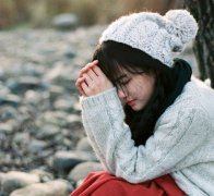 念奴娇·春雪咏兰原文赏析