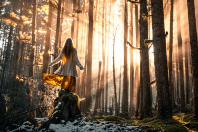 我的理想讲话稿简短【汇编三篇】