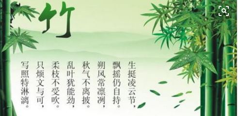 小灵通微小说