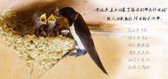 公司的会议记录范文