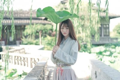 植物观察日记大全