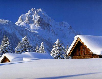 单位工作信